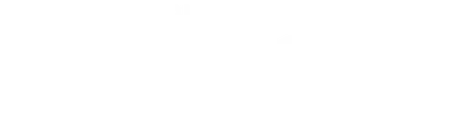 Partner 2